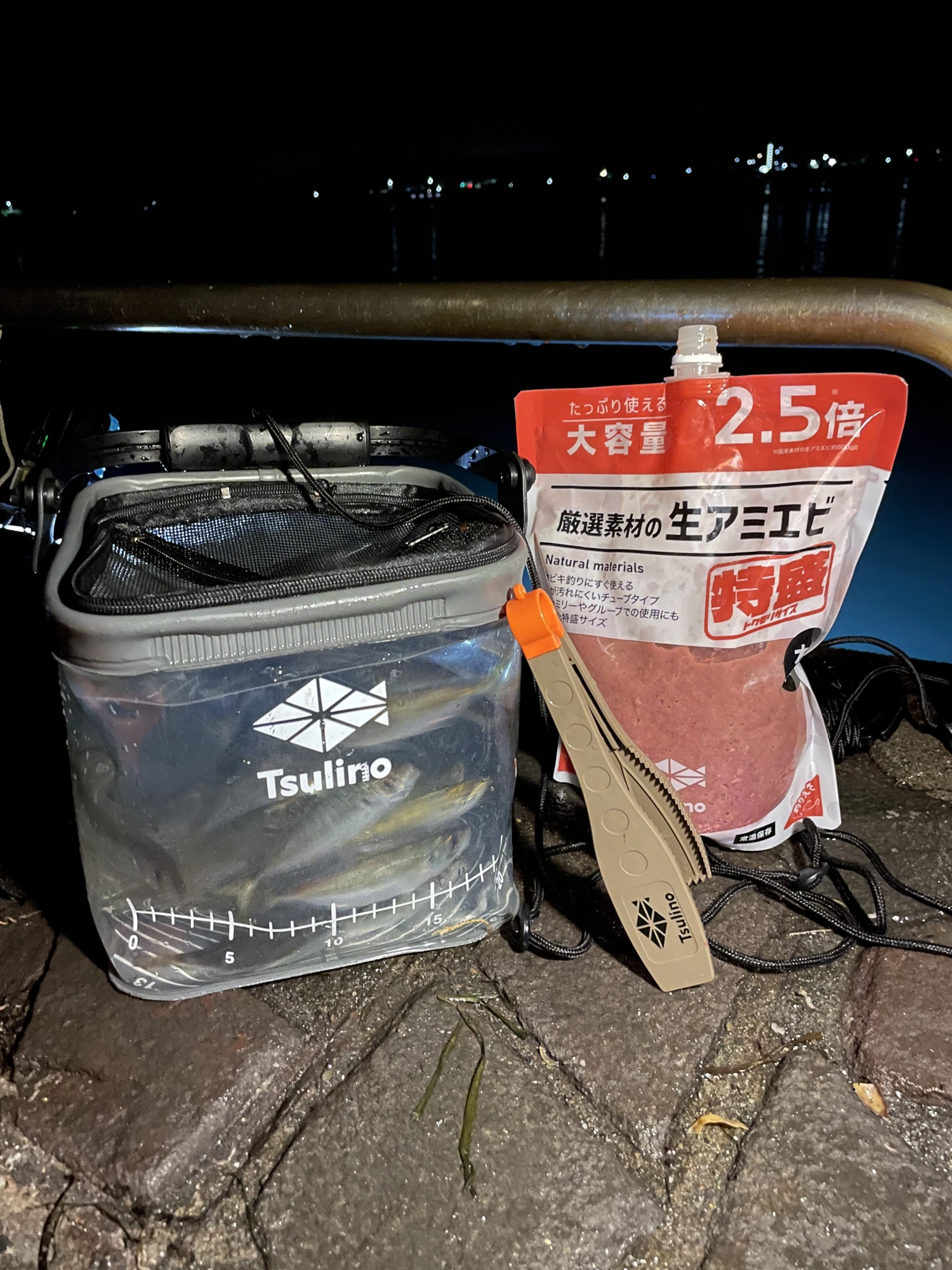 新居海釣り公園のサビキ釣り。夜も釣れます！