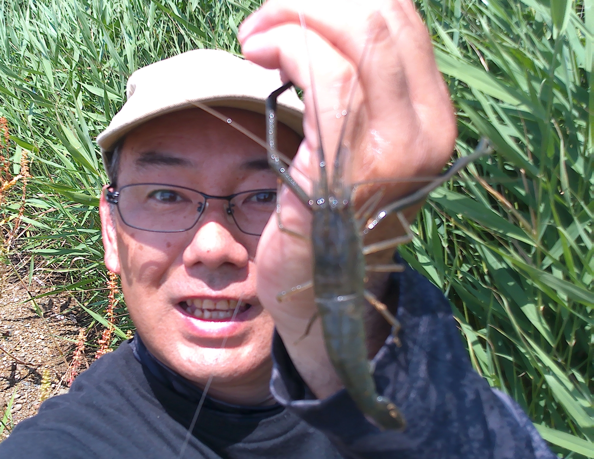 ハゼ釣りで残ったエサで手長エビ釣りに、終始アタリがあり大きなエビが釣れました。