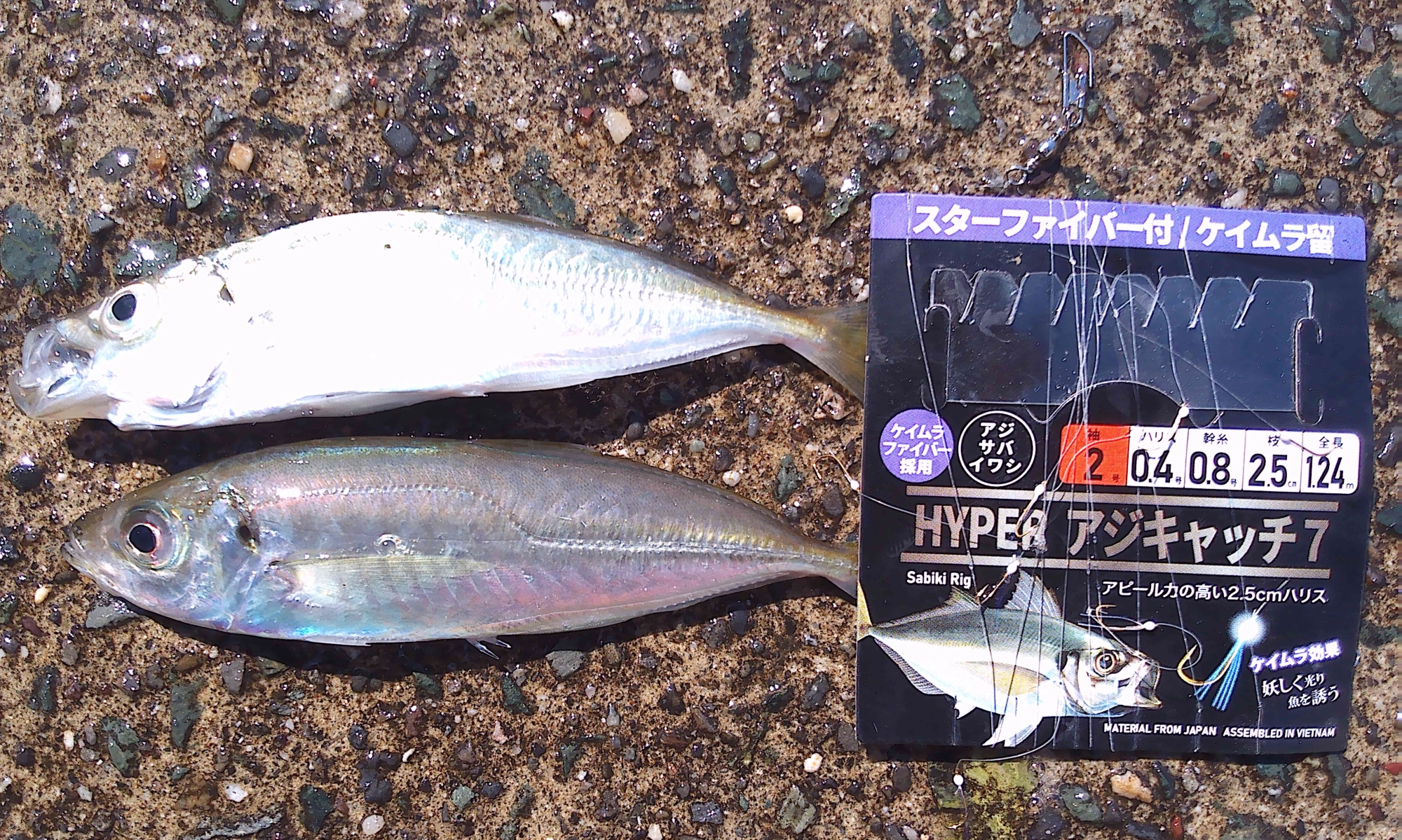 仕掛けはハイパーアジキャッチ7、魚が大きくなってきたので針の大きさは３号を、持っていた仕掛けの針が小さくてポロポロ魚が外れてしまった・・・