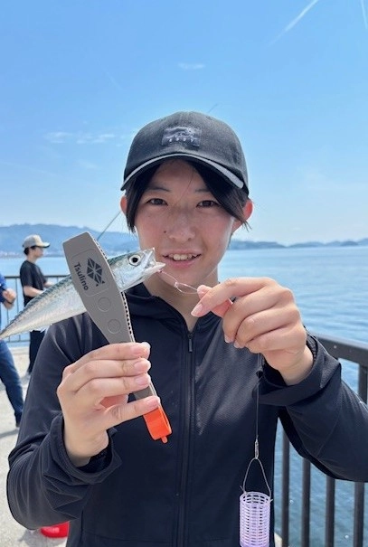 吉良サンライズパークサビキ釣果回復中！