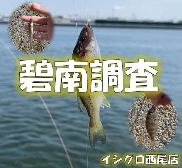 船釣り系 hqdefault.jpg