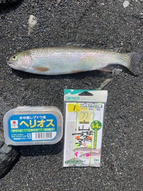 完全仕掛けは手軽です♪エサはブドウ虫を使いました。