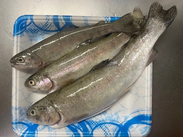 夏の涼を求めて・・・。ニジマスはムニエルで美味しくいただきました♪