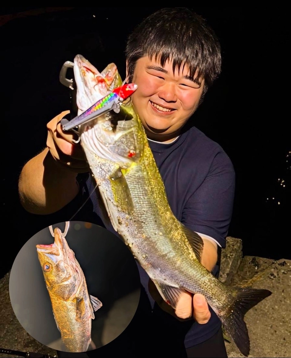 九頭竜川シーバス釣果情報】落ち鮎パターン炸裂！ついに出た