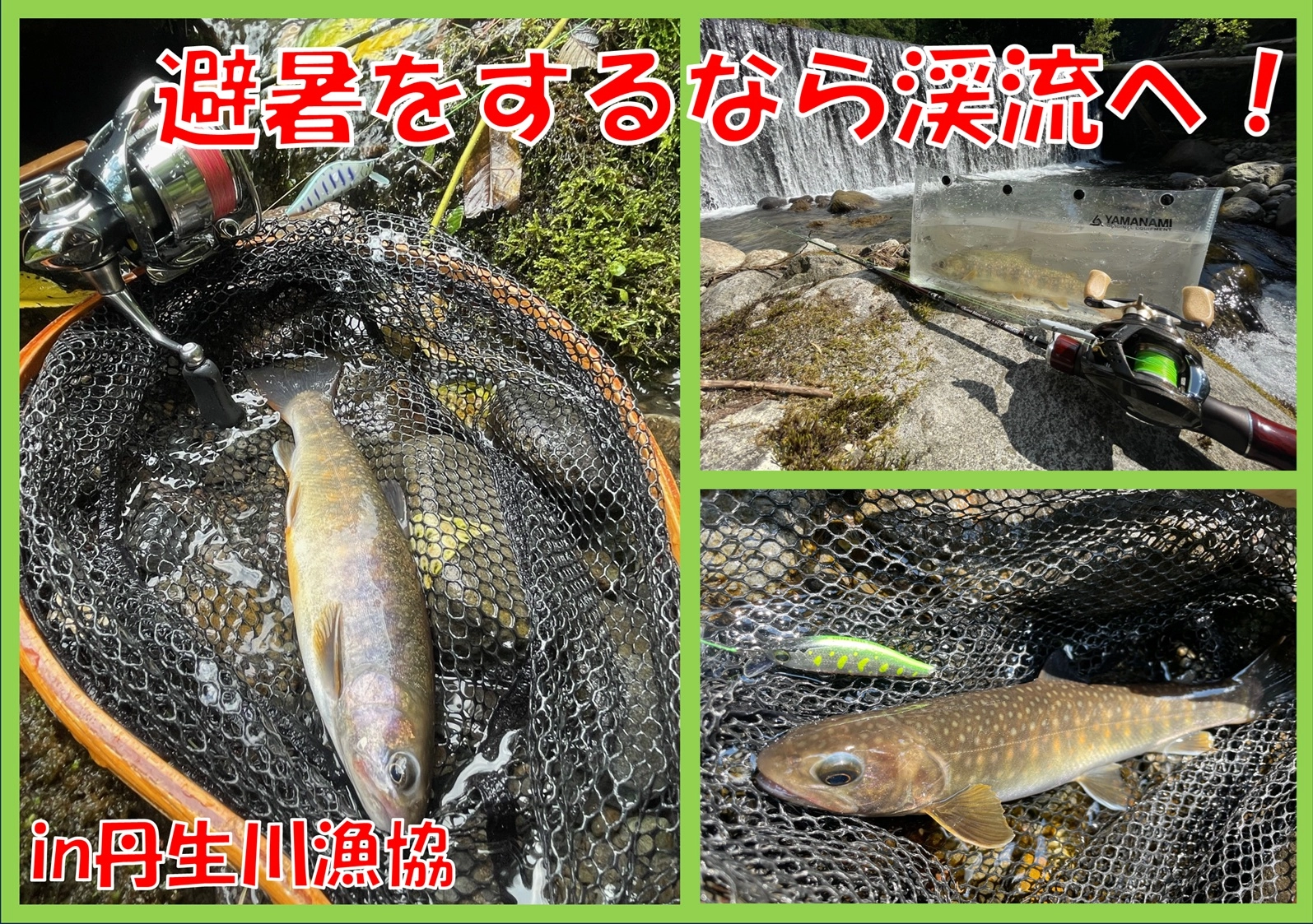 2025渓流ルアー釣行vol.7 in丹生川漁協 | 釣具のイシグロ | 釣り情報サイト