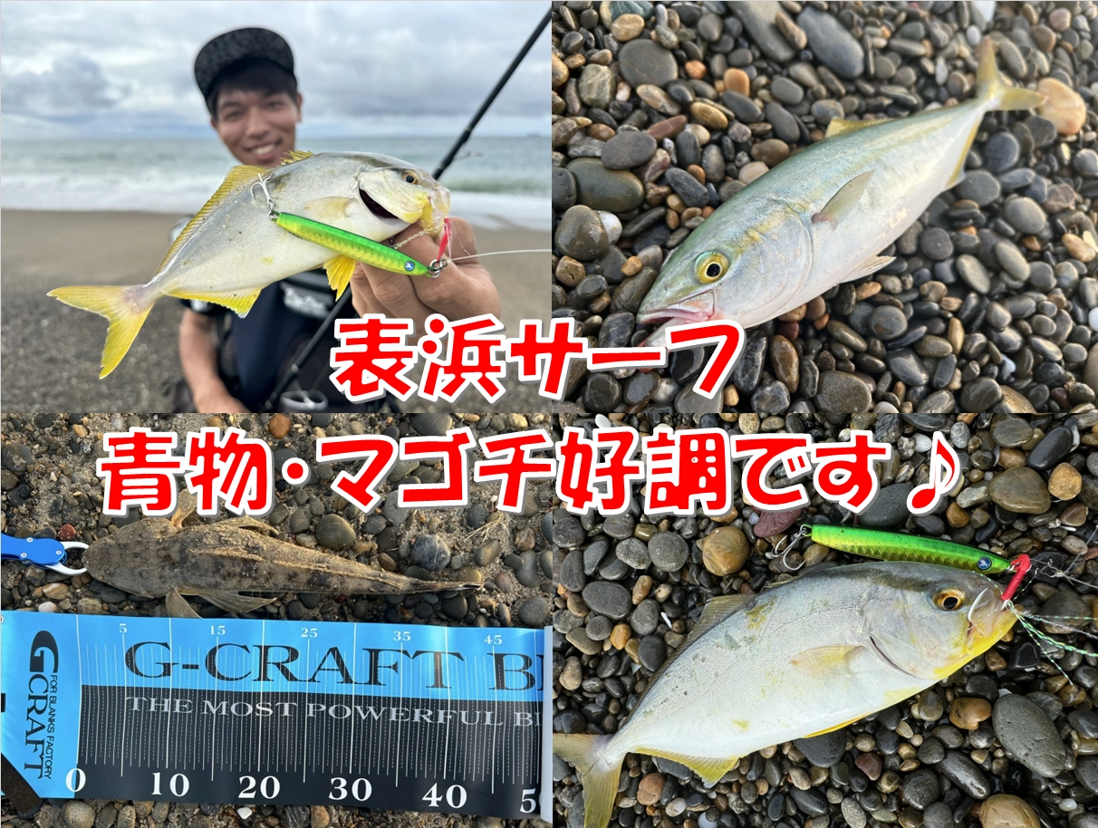 伊勢湾ジギング！青物釣れてますよ♪ | 釣具のイシグロ | 釣り