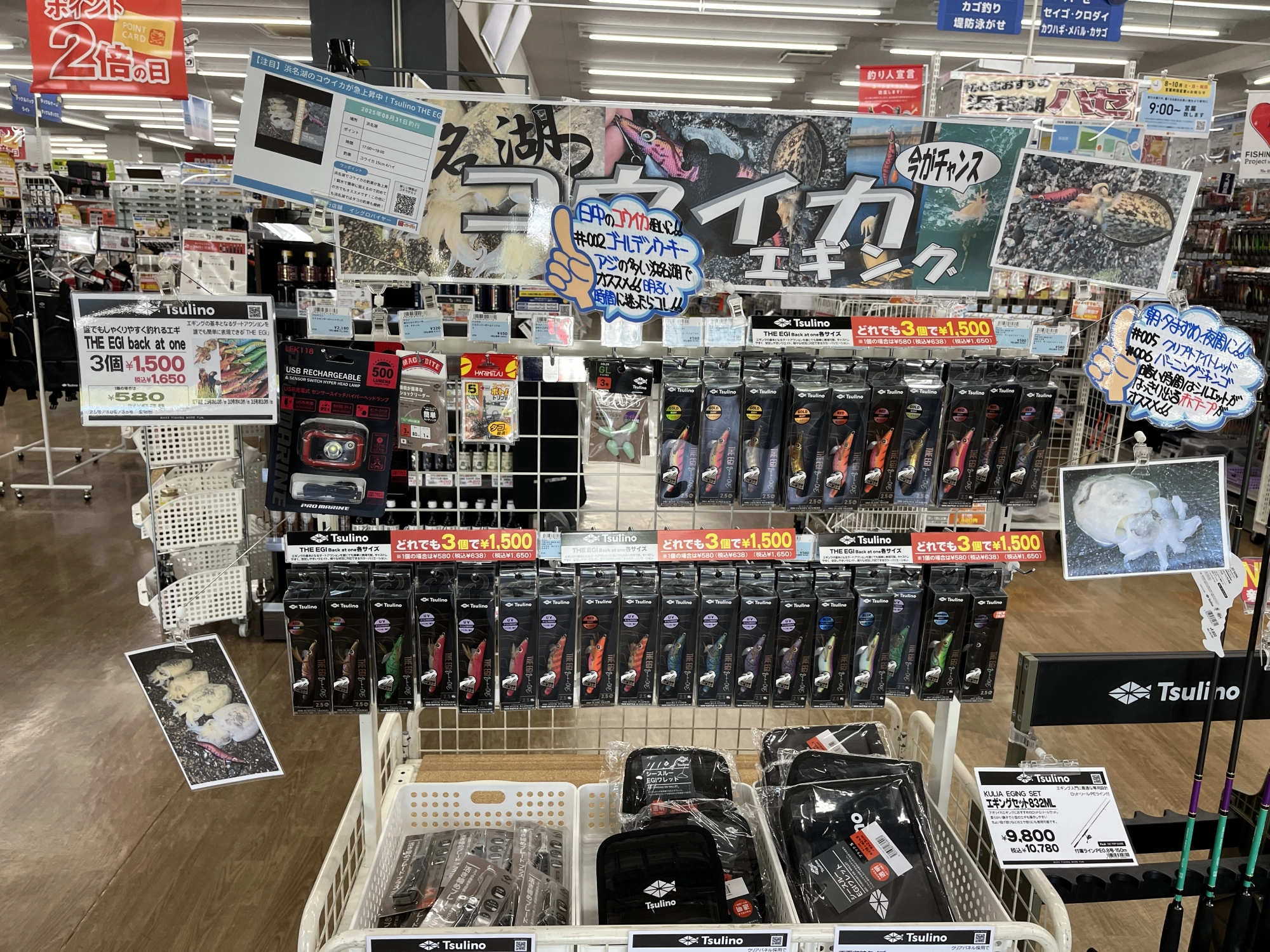 秋イカコーナー展開中！