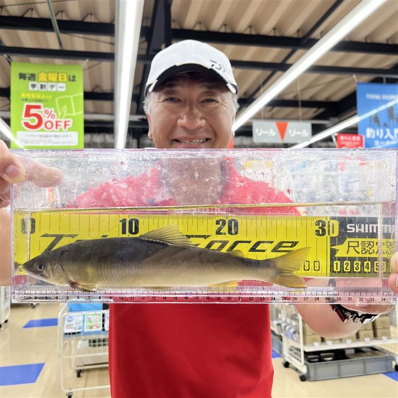 狩野川鮎28㎝！