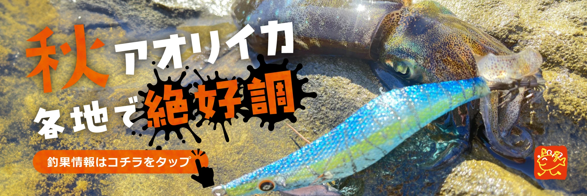 秋アオリイカ　～11月末まで（予定）