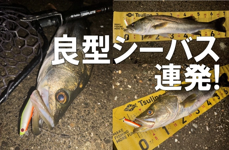 奥浜名湖 で良型シーバス連発！ | 釣具のイシグロ | 釣り情報サイト