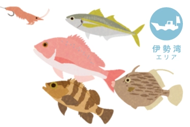 伊勢湾 ウタセ五目釣り