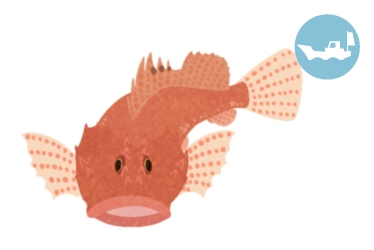 船　底物オニカサゴ釣り