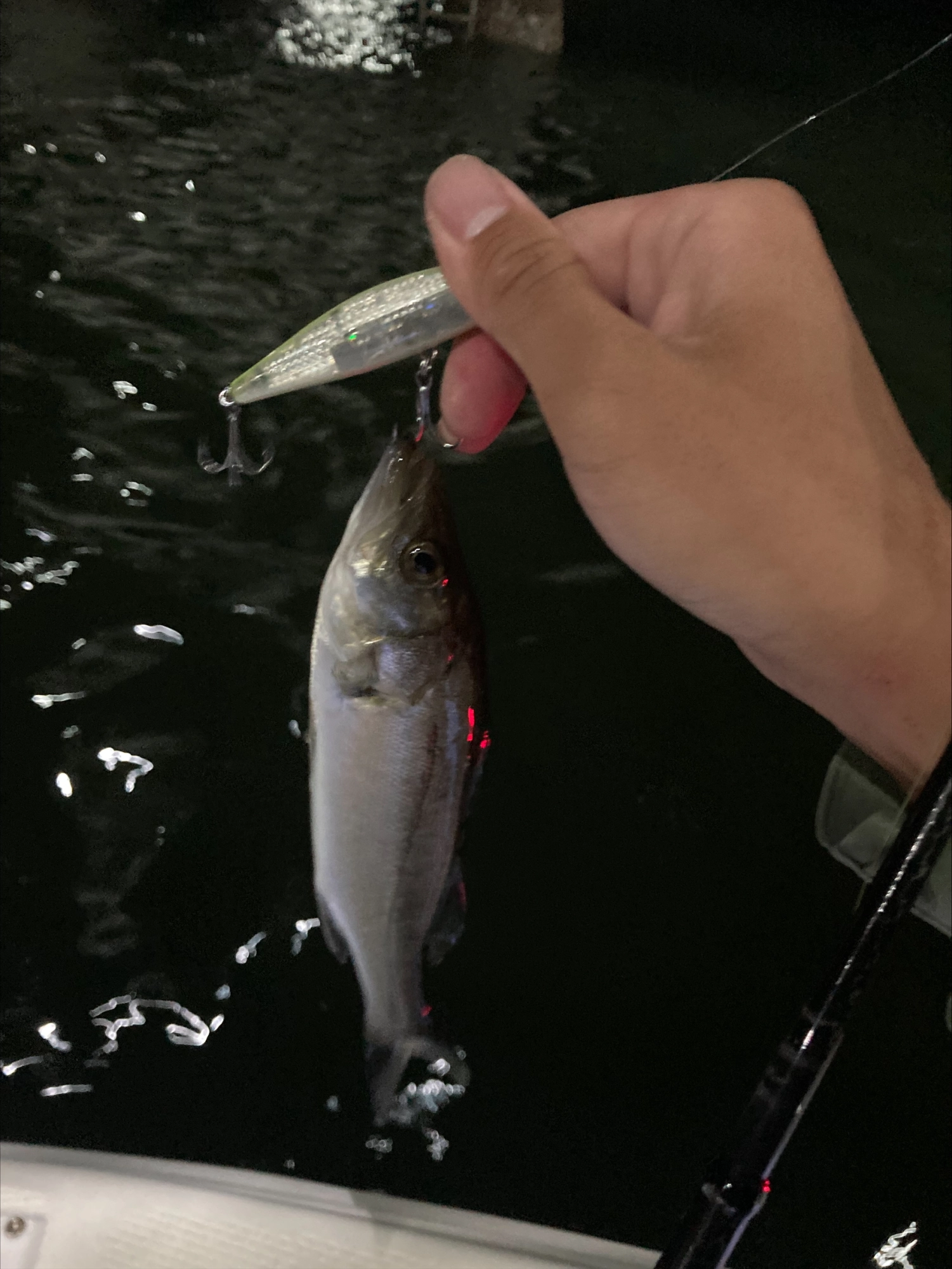 数釣りも楽しめます♪