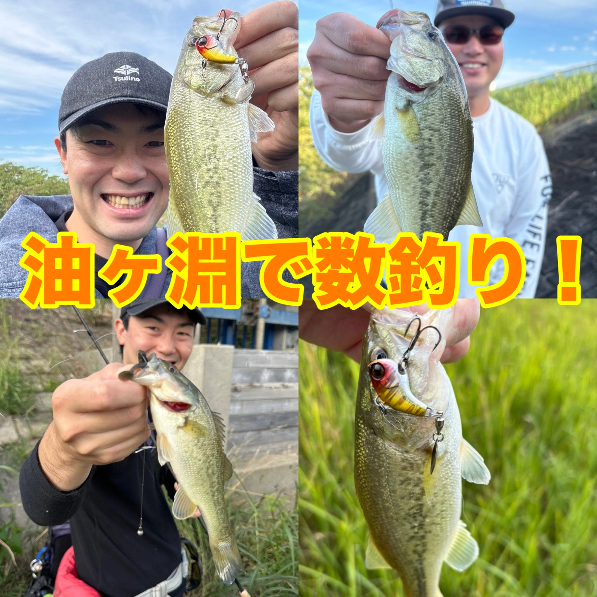 冴掛フェザータッチテクニカルを心行く迄｡ | 釣具のイシグロ | 釣り