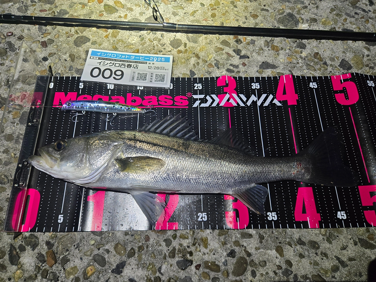 2投目で釣れました✌