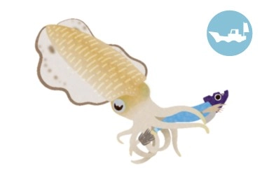 ティップランエギング