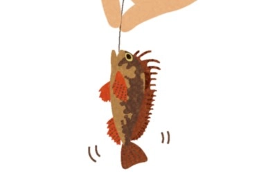 危険な海の生物