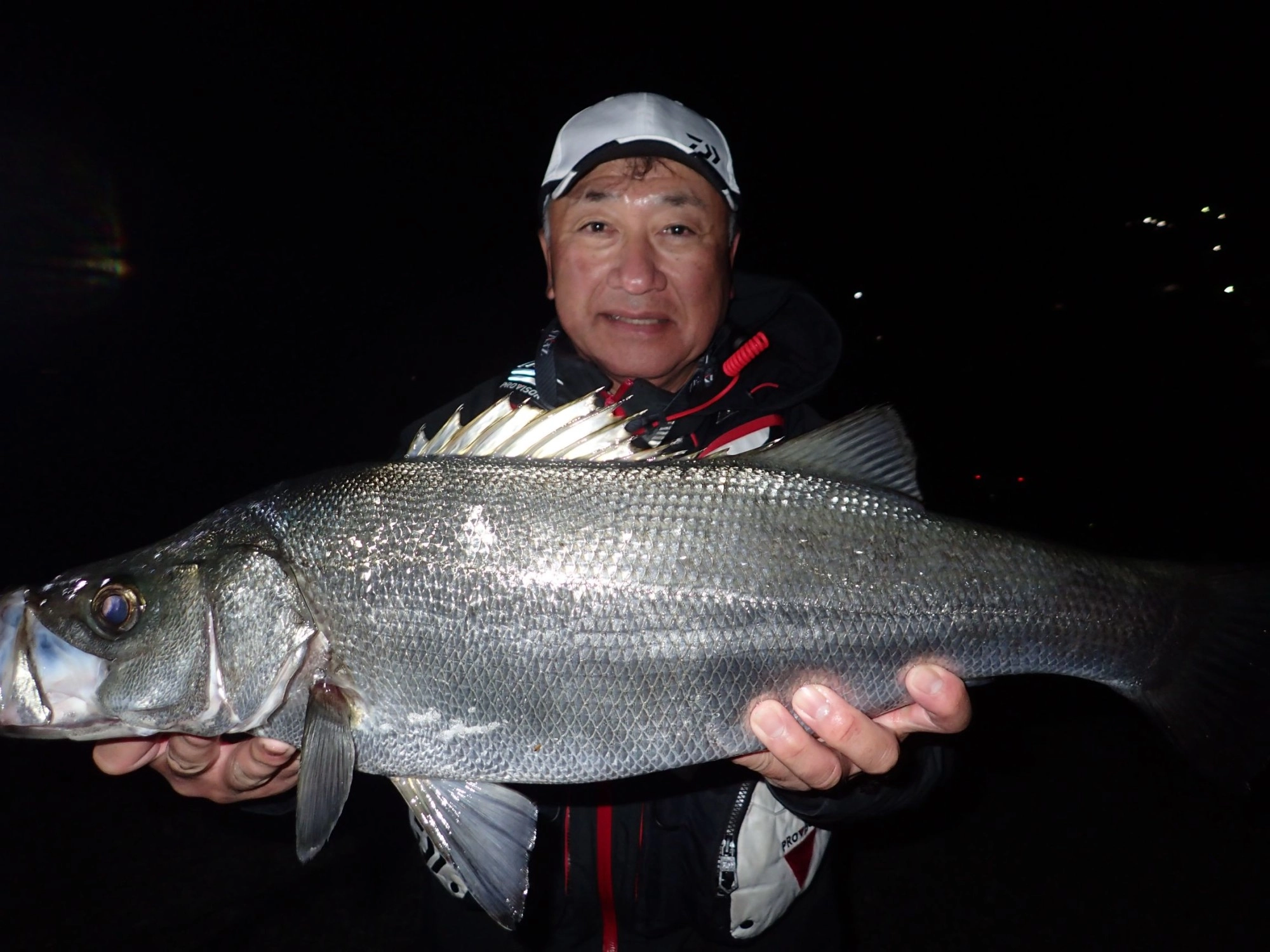 堤防泳がせ釣りでヒラスズキ
