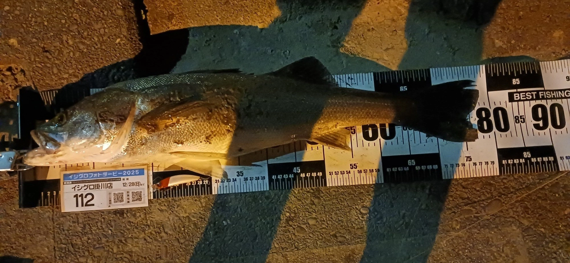 橋脚の間を通したら出ました