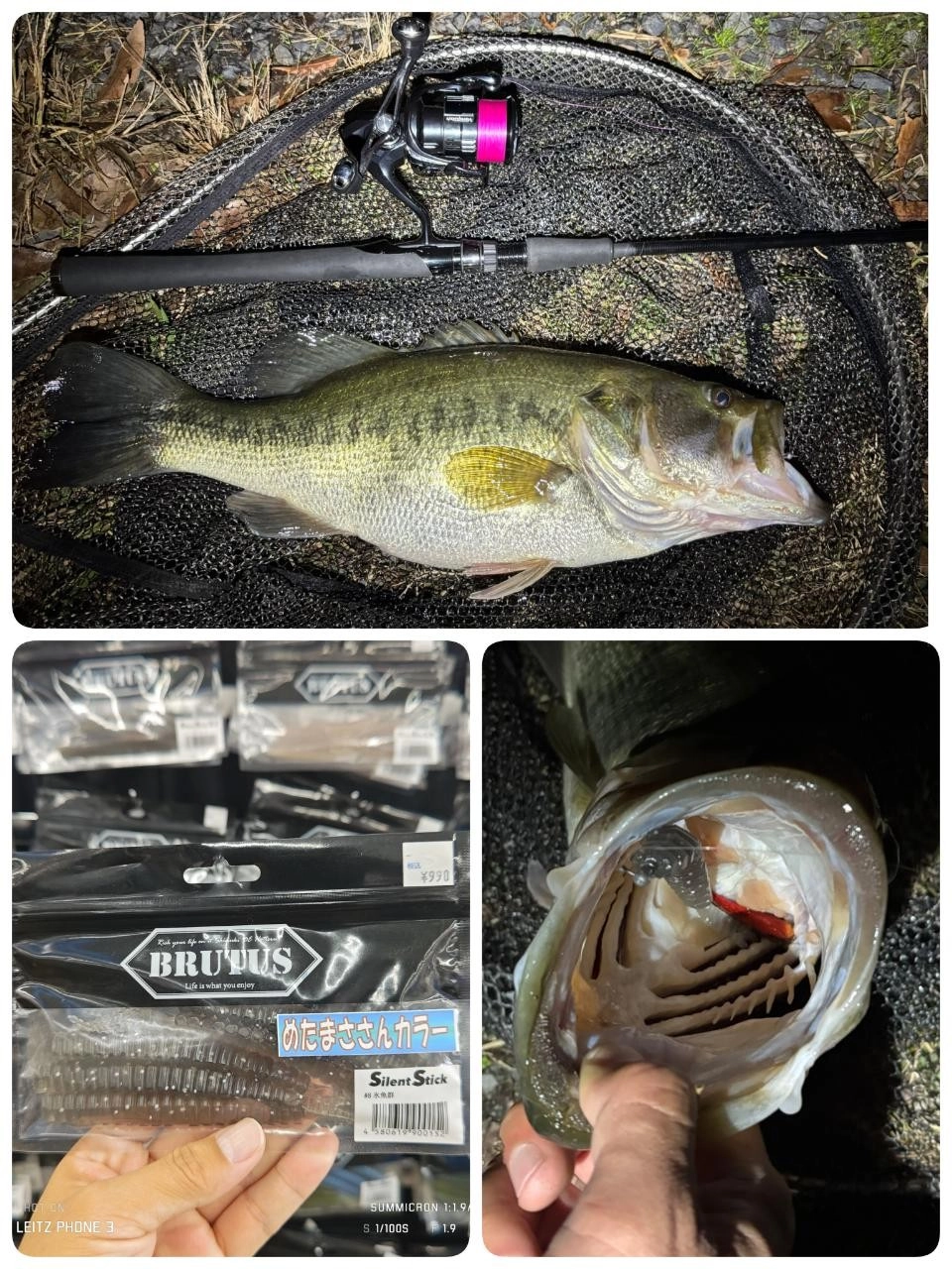 バス釣り  ルアー等 バスルアー釣り｜釣り方別トピックス｜釣具のイシグロ |釣り情報サイト