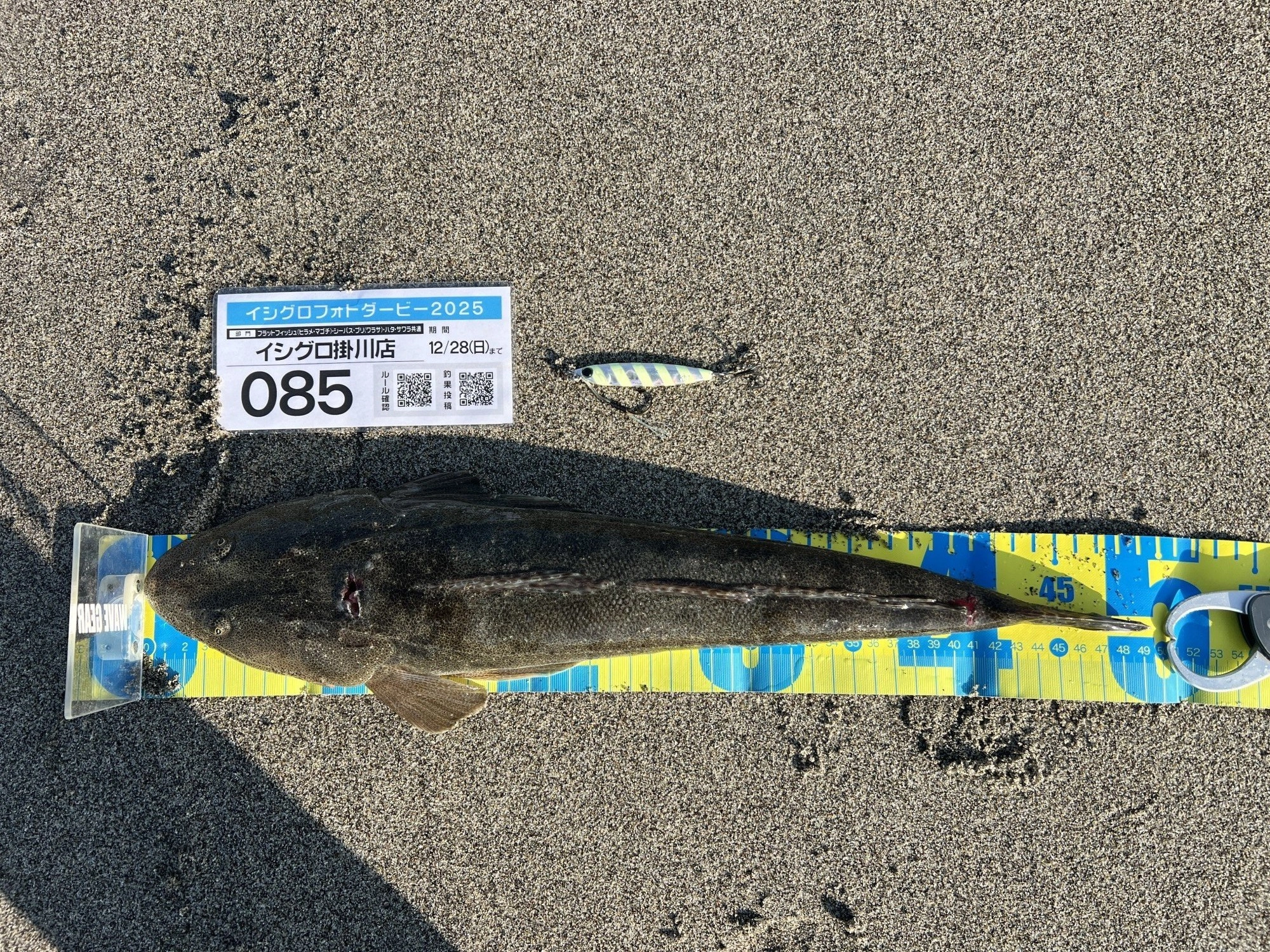 最近、お気に入りのRサーディン