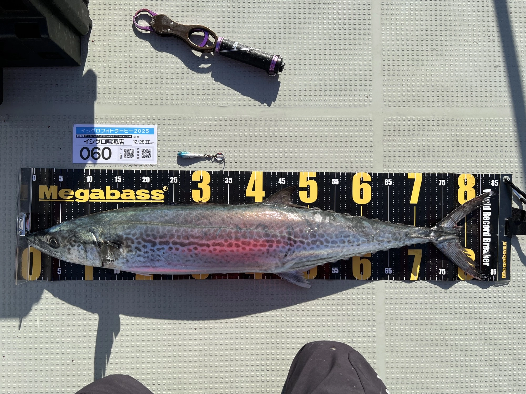 フォトダービーにもエントリー！