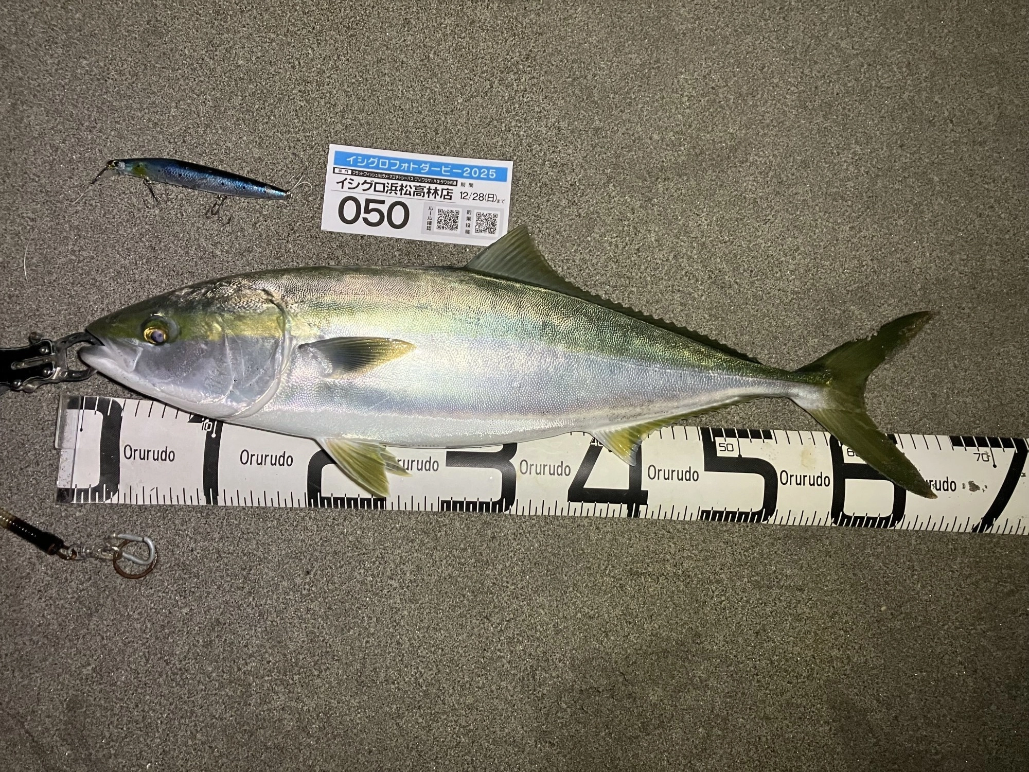 ナイトサーフで念願の青物釣れました‼️ | 釣具のイシグロ | 釣り情報
