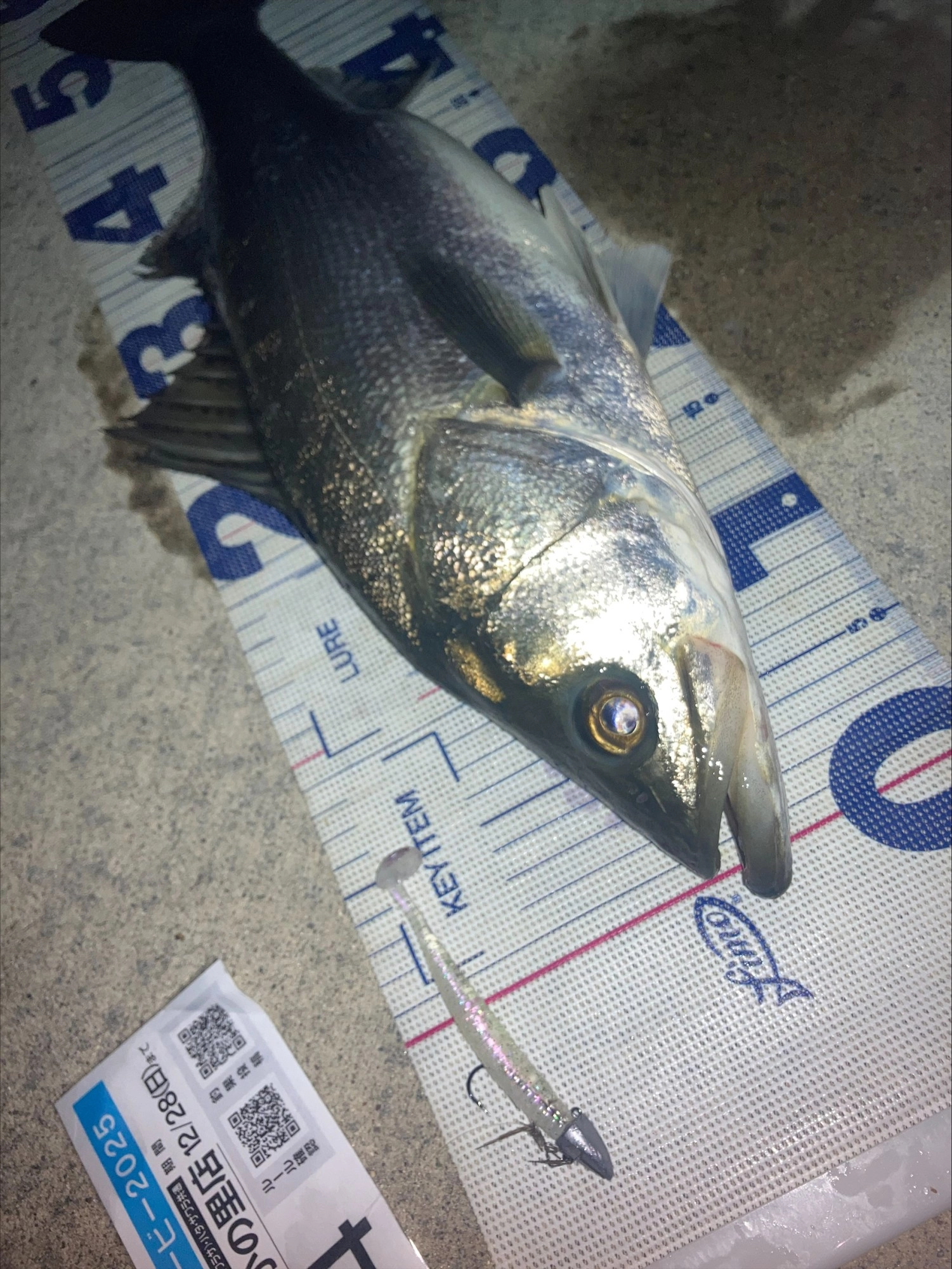 フィネスシャッド×デルタヘッドの組み合わせ！