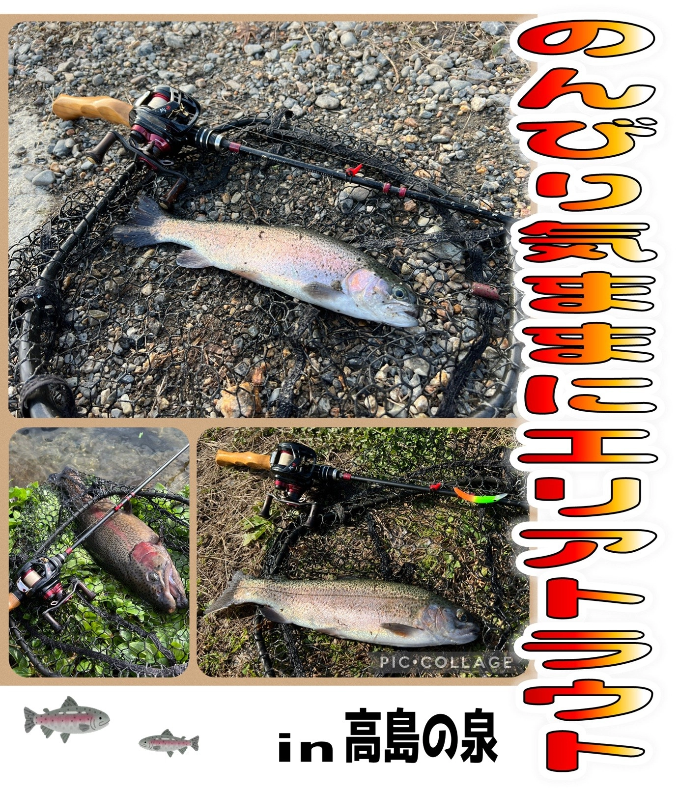 冬はエリアトラウトが楽しいですよ♪