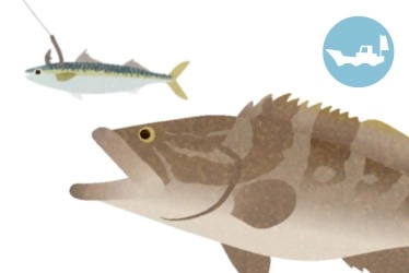 船　泳がせ釣り