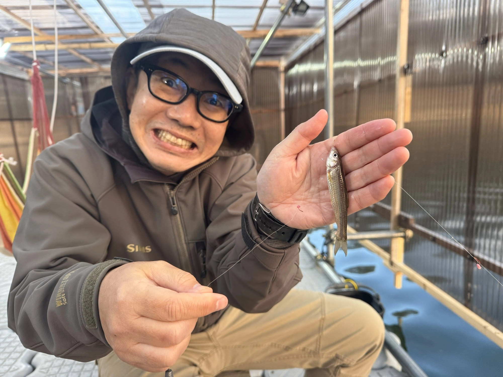 貴重な日本淡水魚のホンモロコ