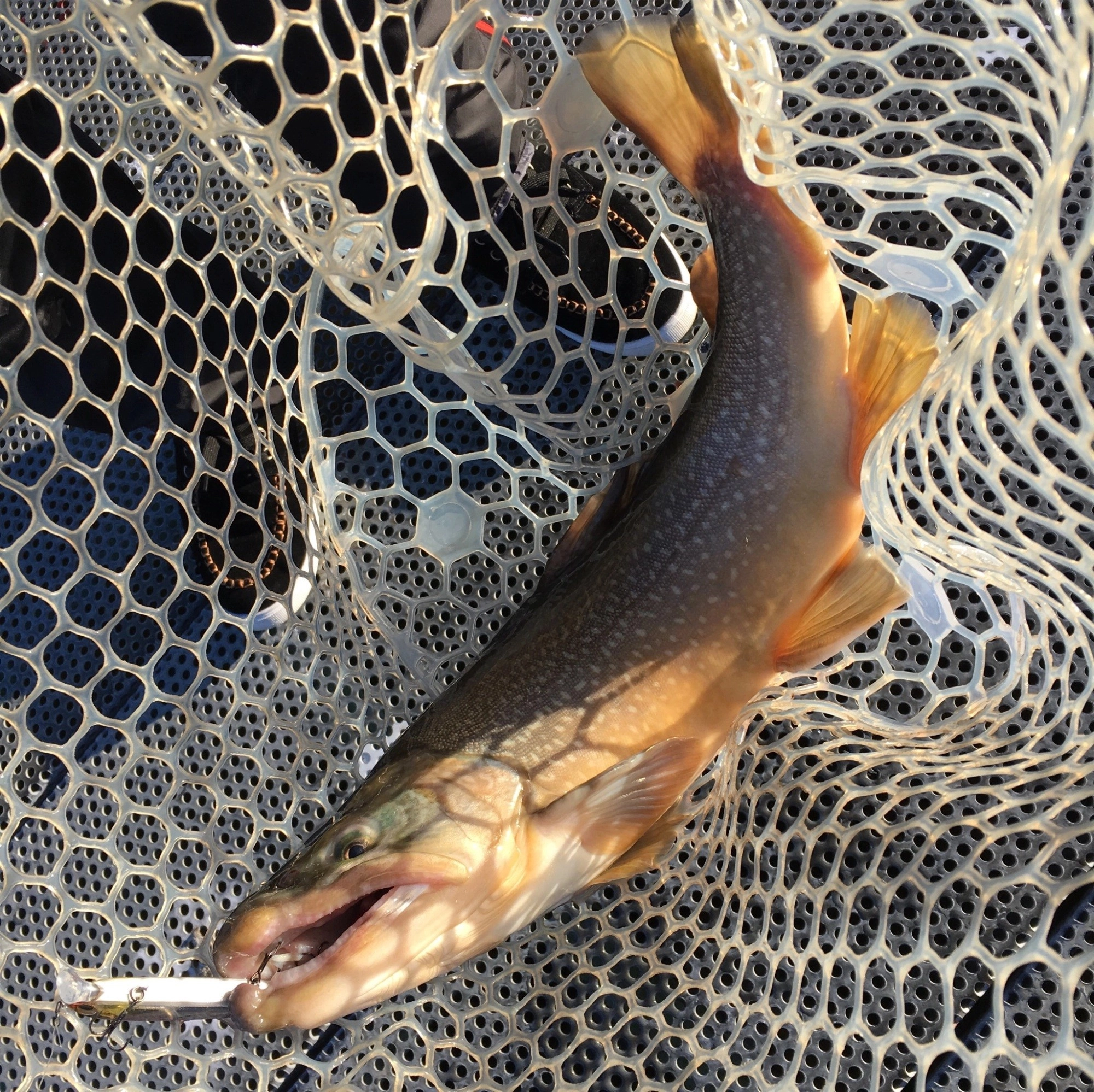 東山湖　釣果（2）