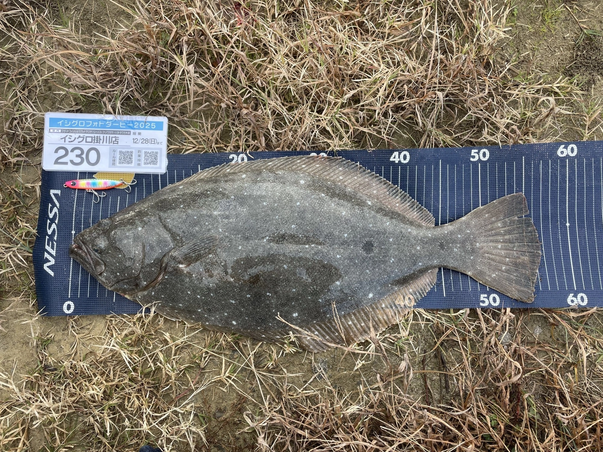 バディワークス ON BAIT 32g レインボーカラー にてヒット。