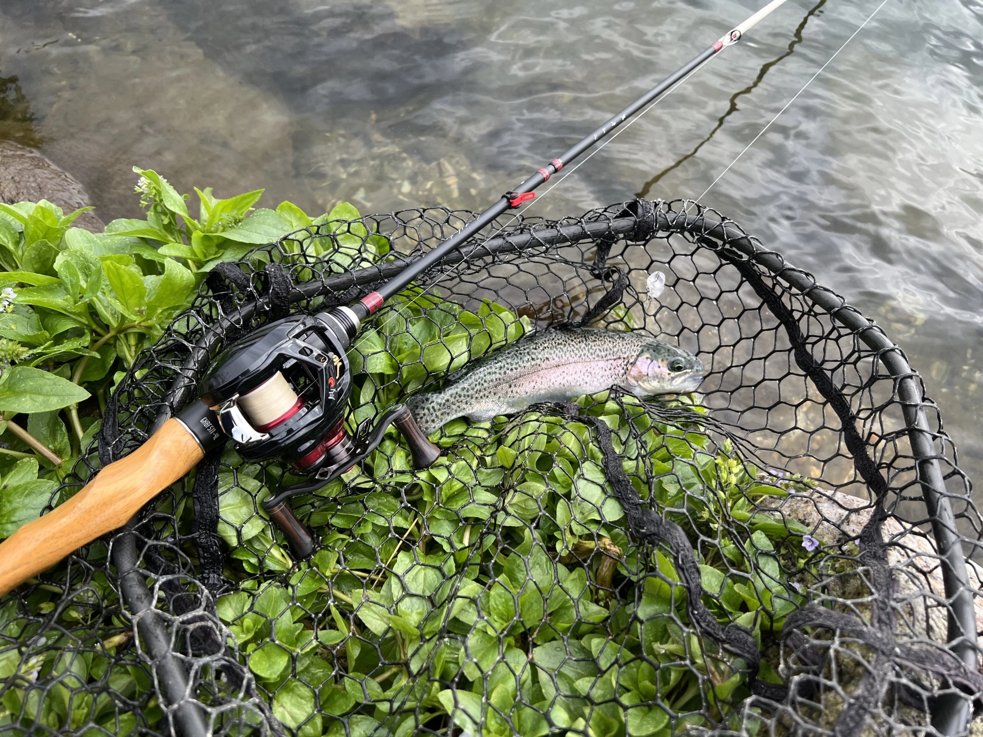 湧水のおかげで水温も高く、冬でもトップで楽しまマス！