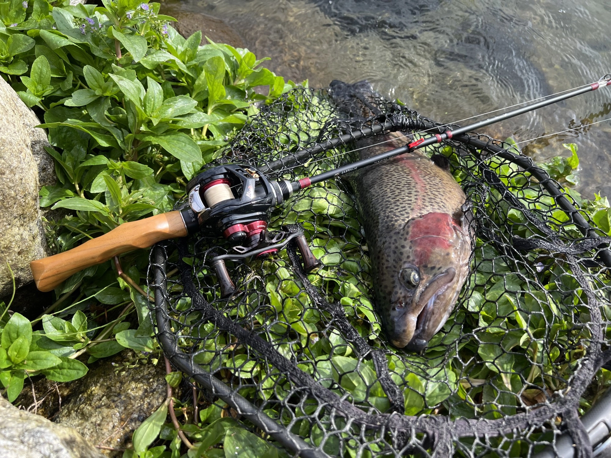 大物が多く、魚のクオリティも高いです！