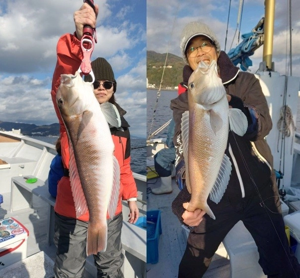 伊東沖 船シロアマダイ釣り絶好調！ 53cmのジャンボサイズも釣れまし