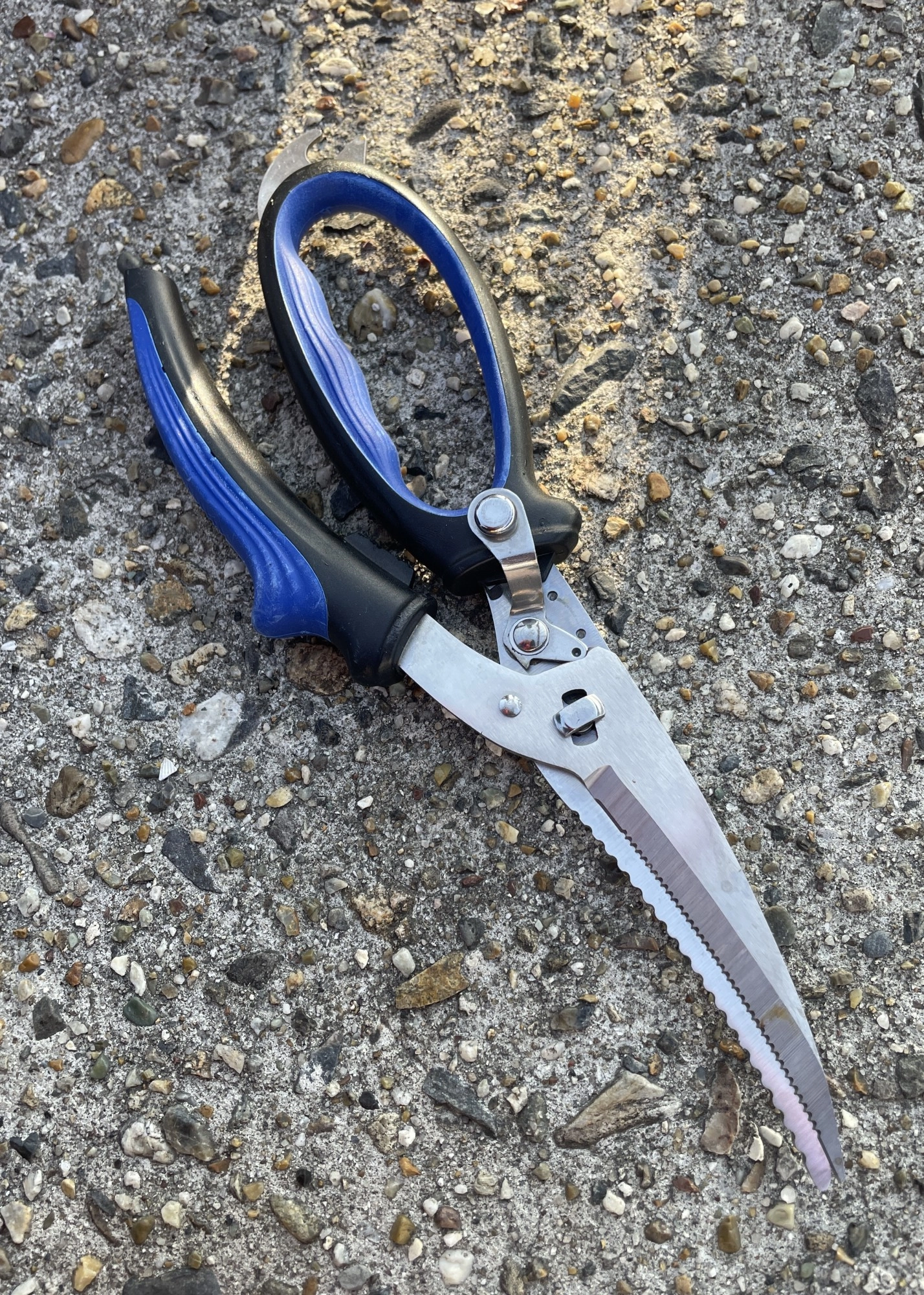 釣り用のハサミがあると魚を締める時に便利！ハサミ型でもナイフ形でも使える分離タイプがオススメ！