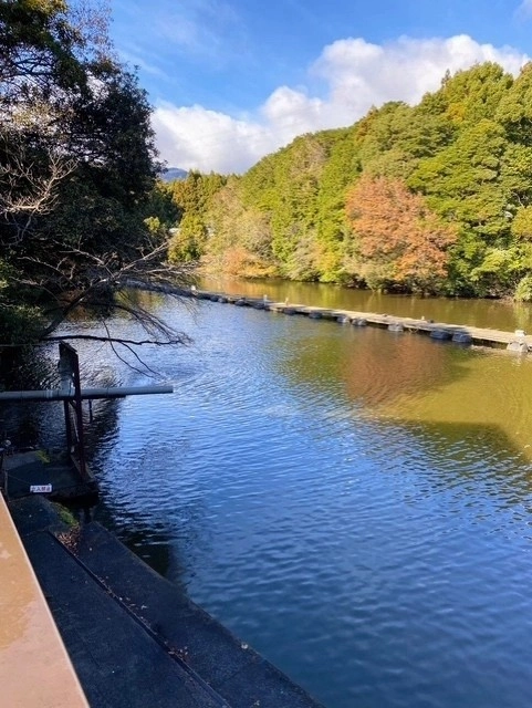 第1ポンド