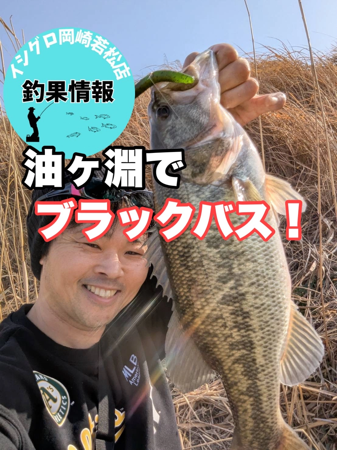 バスルアー釣り｜釣り方別トピックス｜釣具のイシグロ |釣り情報サイト