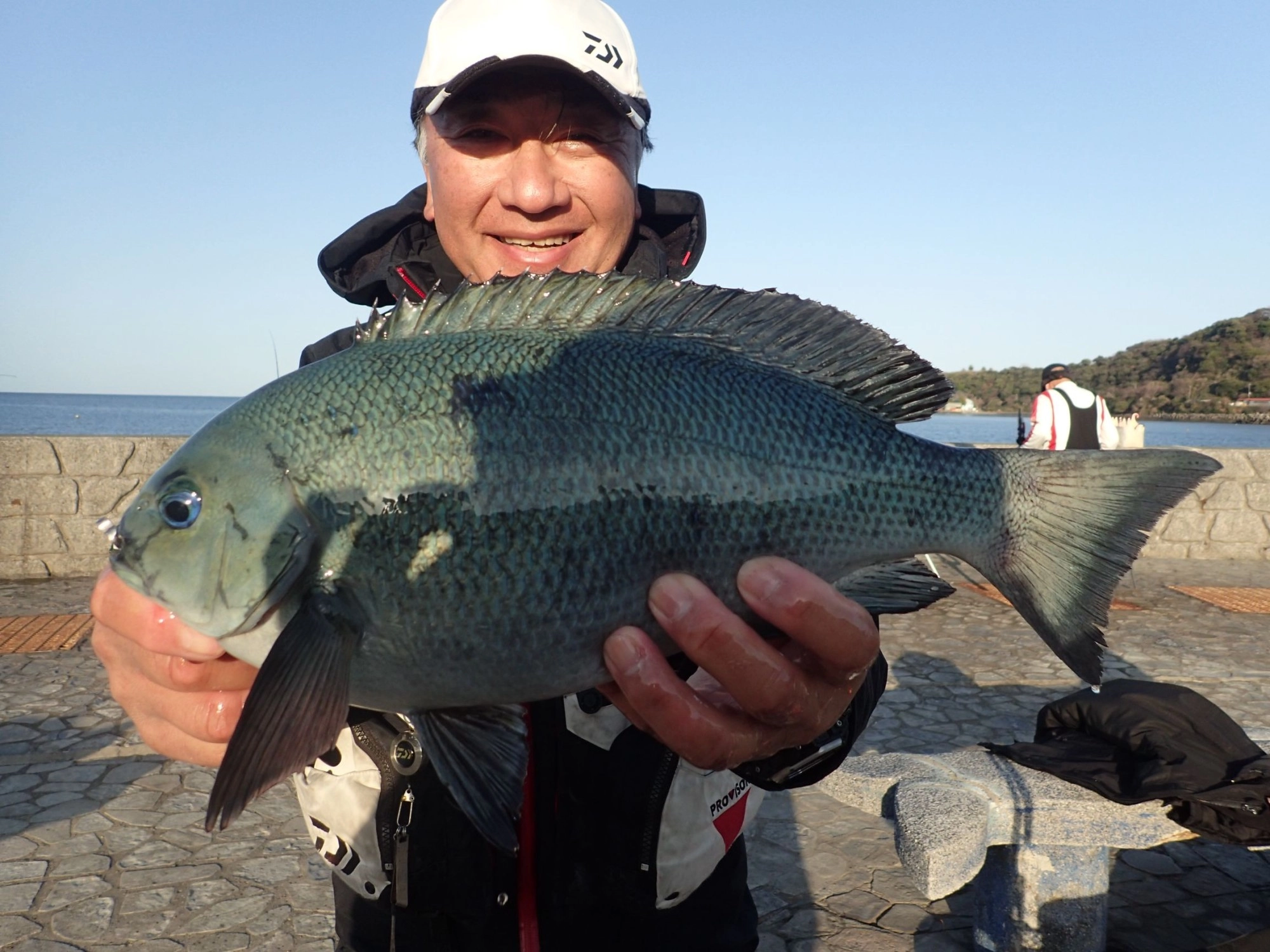 いるか浜メジナ42ｃｍ