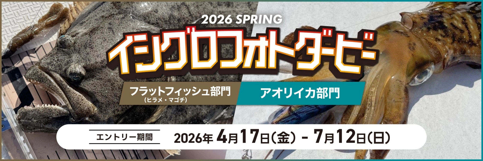 イシグロフォトダービー2026春｜フラットフィッシュ・アオリイカ部門　～2026-07-12