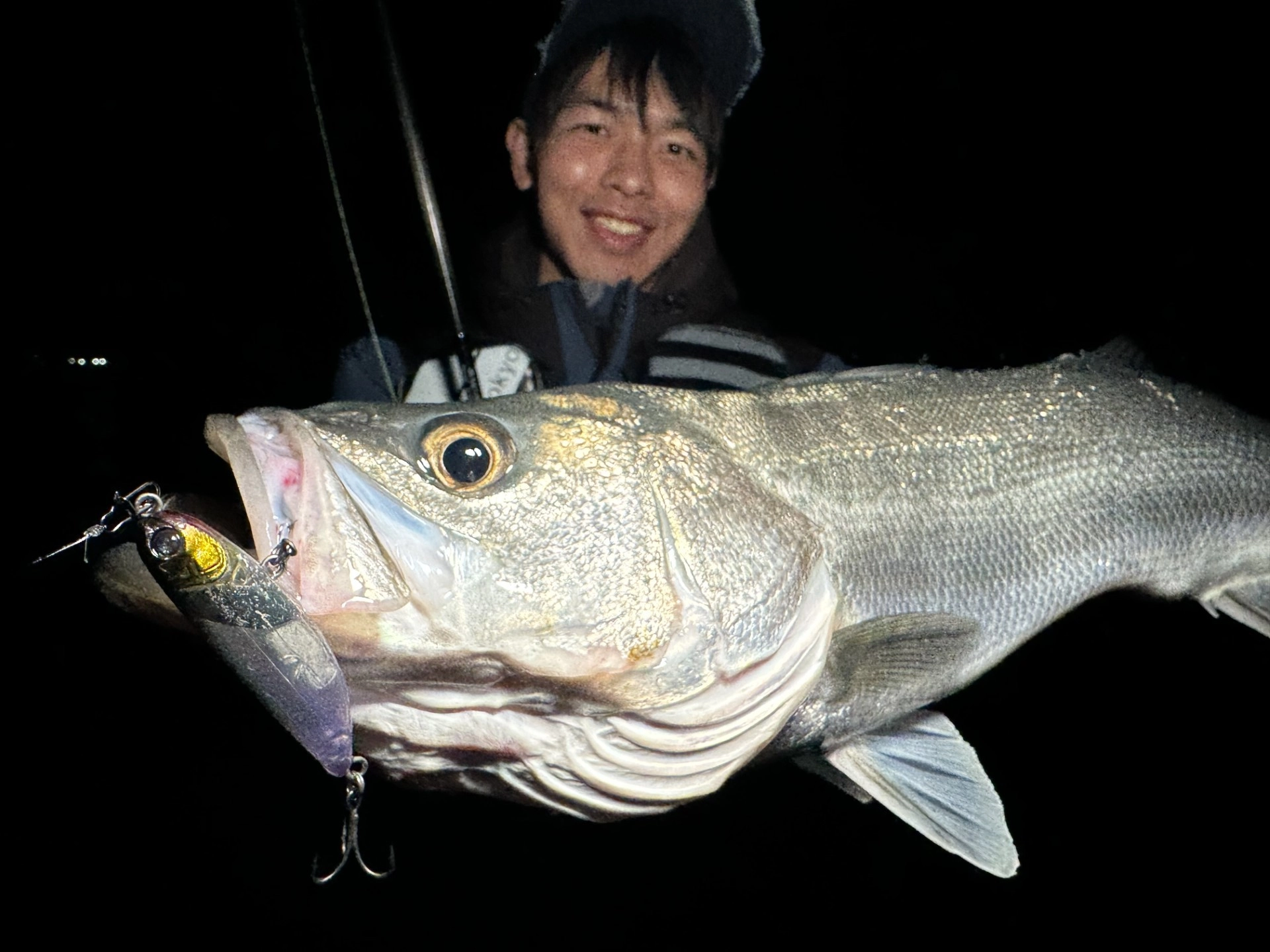 バイト多数！！ 浜名湖シーバス釣れてます♪ | 釣具のイシグロ | 釣り