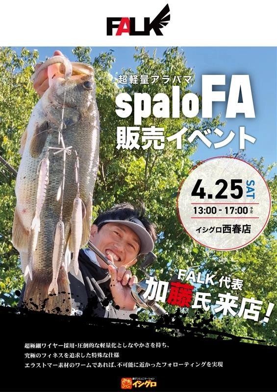 FALK spalo FA アラバマ 【公式通販】