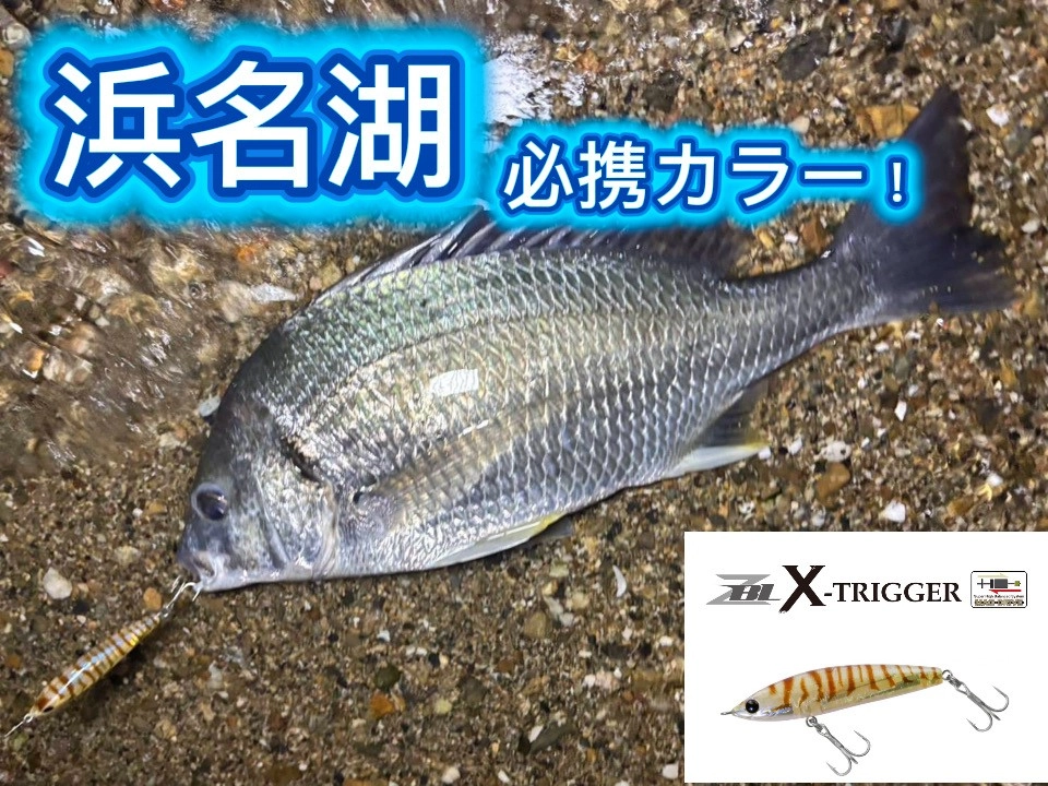 今年の浜名湖で活躍間違いなし！！ルアー登場！！ | ソルトショア