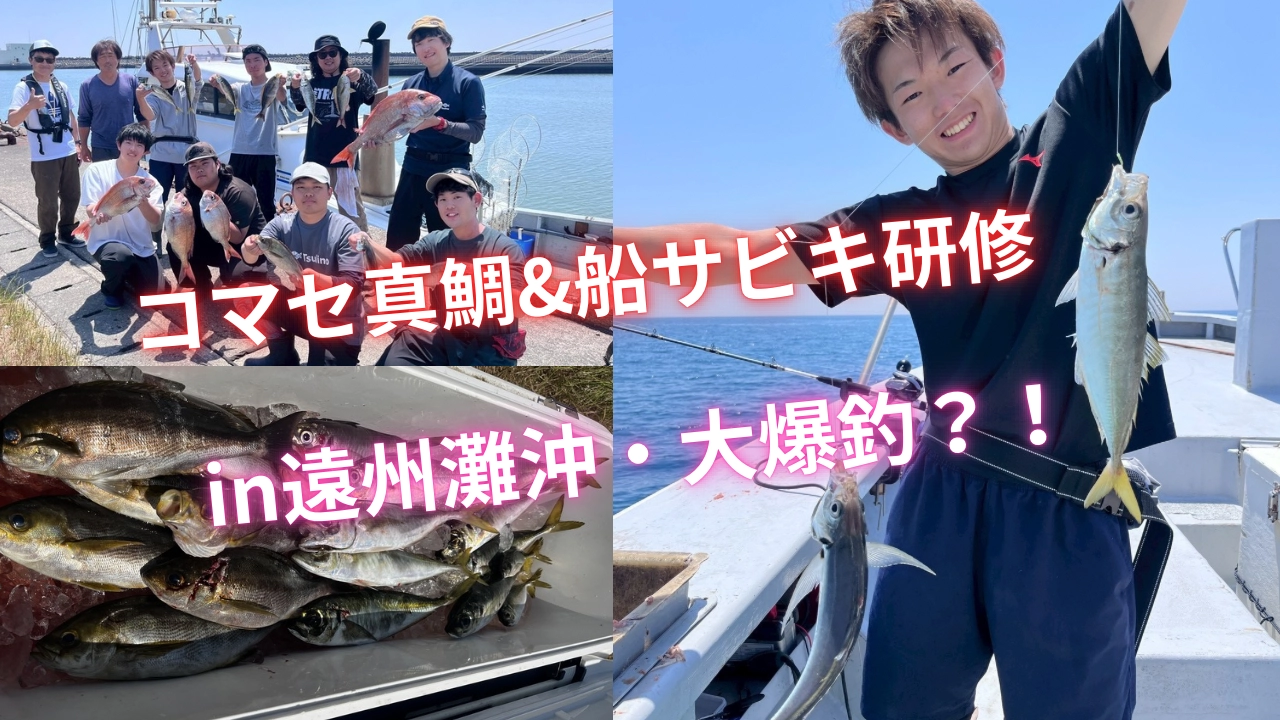 福田沖でコマセマダイ＆船サビキ研修　大爆釣？！