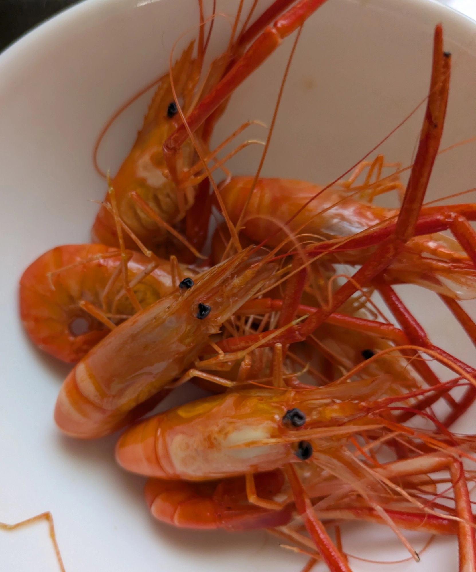 大き目のエビは塩ゆでにして頂きました。その他に素揚げや鬼ガラ焼き等で美味しくいただけますよ♪