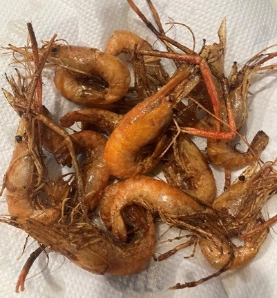 手長エビの唐揚げは最高です！
