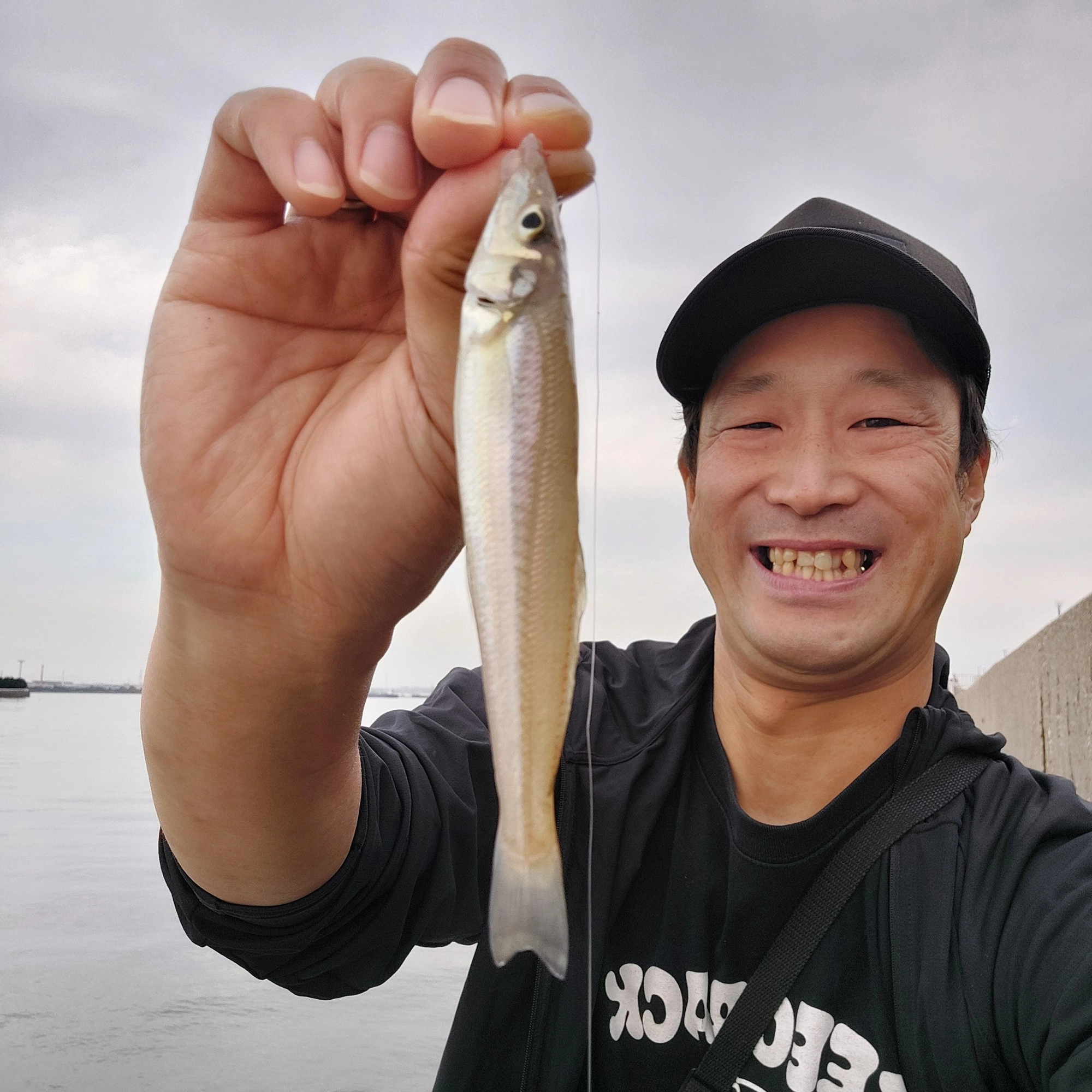 シロギス開幕!!ちょい投げでシロギスGET♪【スタッフ三井の堤防調査Vol