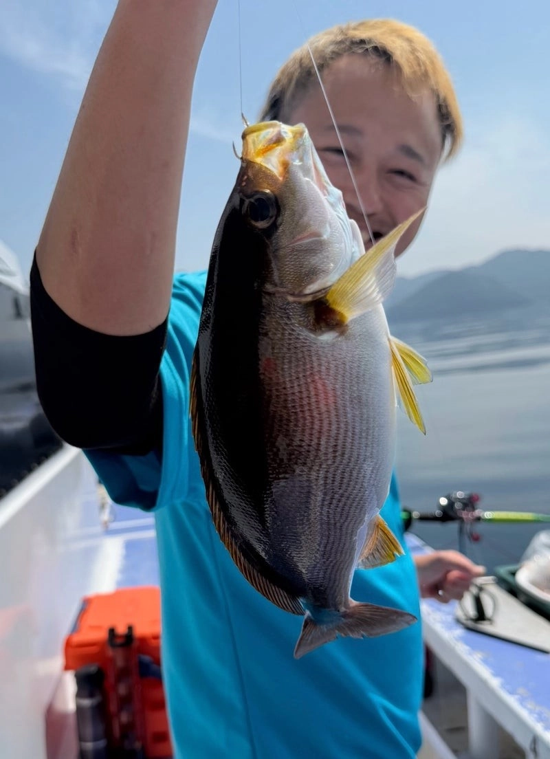 お腹パンパンのイサキです！今後の釣果に期待です！