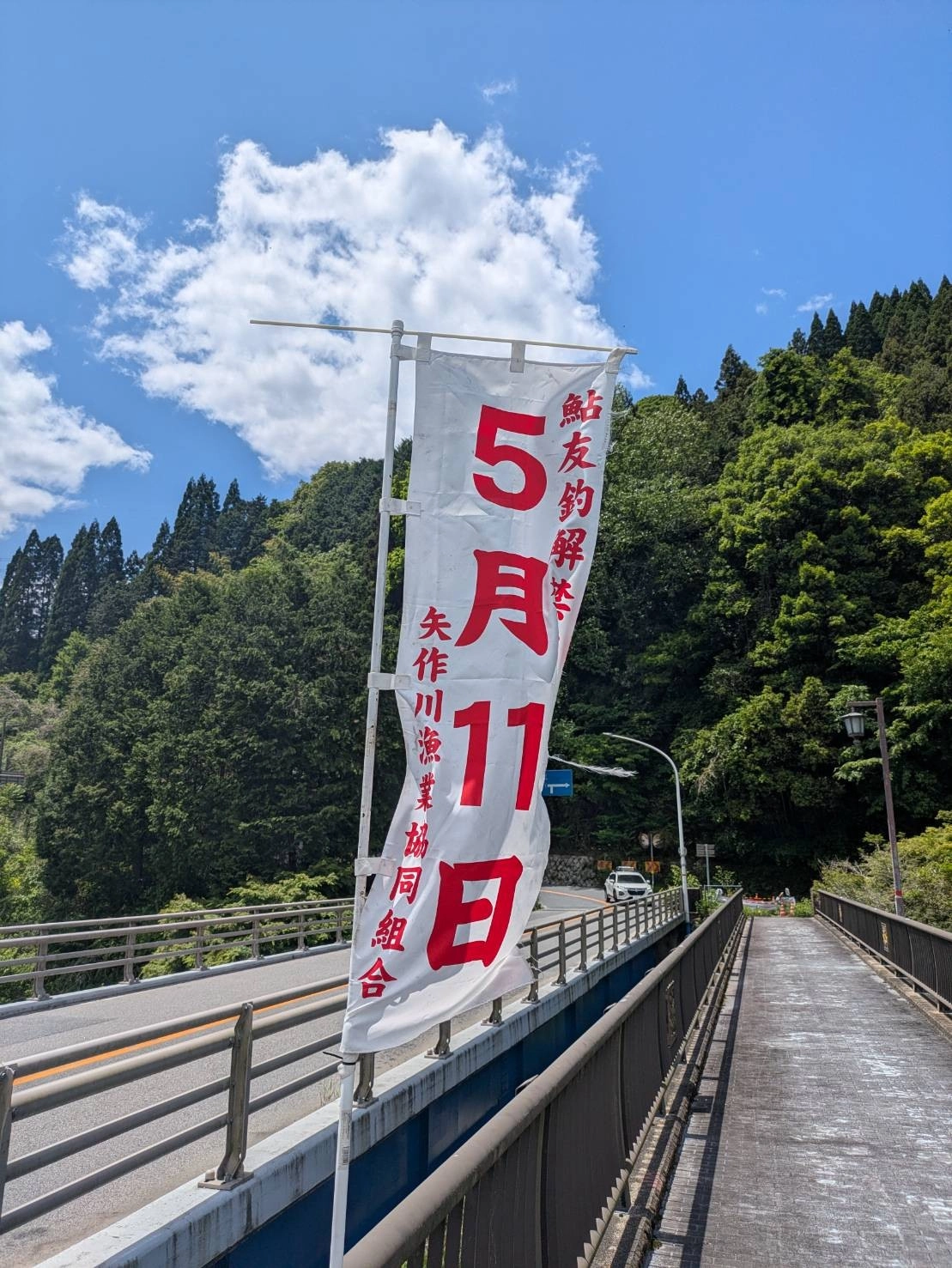 2026年愛知県最速！矢作川鮎解禁情報！ | 釣具のイシグロ | 釣り情報サイト